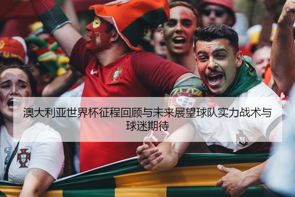 澳大利亚世界杯征程回顾与未来展望球队实力战术与球迷期待