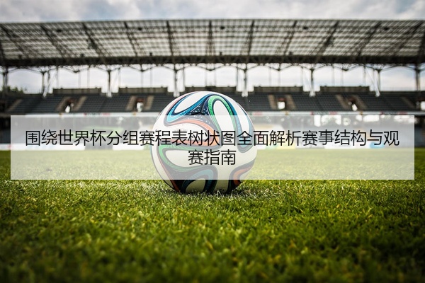 围绕世界杯分组赛程表树状图全面解析赛事结构与观赛指南
