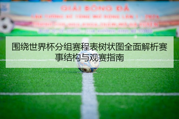 围绕世界杯分组赛程表树状图全面解析赛事结构与观赛指南