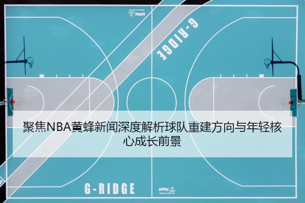 聚焦NBA黄蜂新闻深度解析球队重建方向与年轻核心成长前景