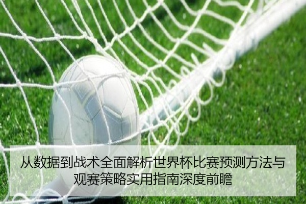从数据到战术全面解析世界杯比赛预测方法与观赛策略实用指南深度前瞻